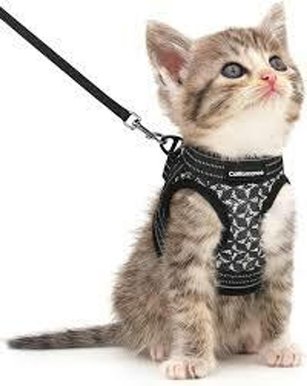 Cat Leashes